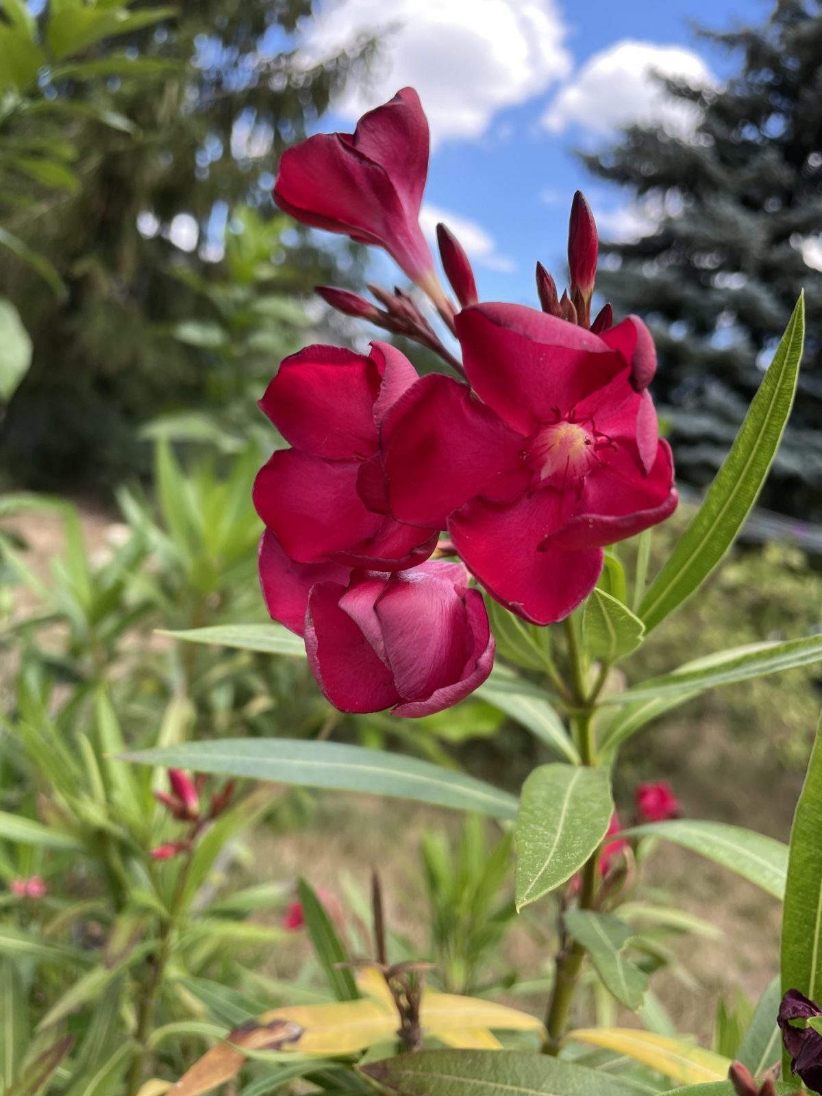 852B833C-C5A0-4C7F-A800-772C0F123DF9