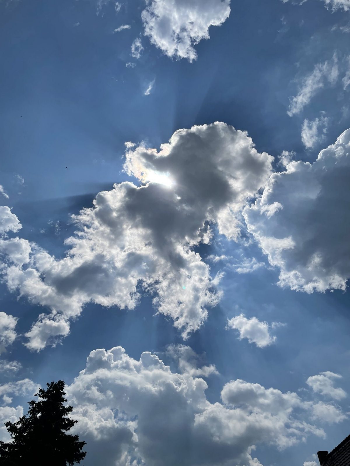 85697F12-8D69-464F-9EC6-8E1EDEABAA65