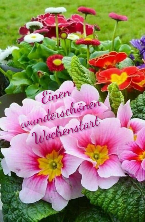 8583c61e-8b44-411f-8499-bc5c9b5bee62