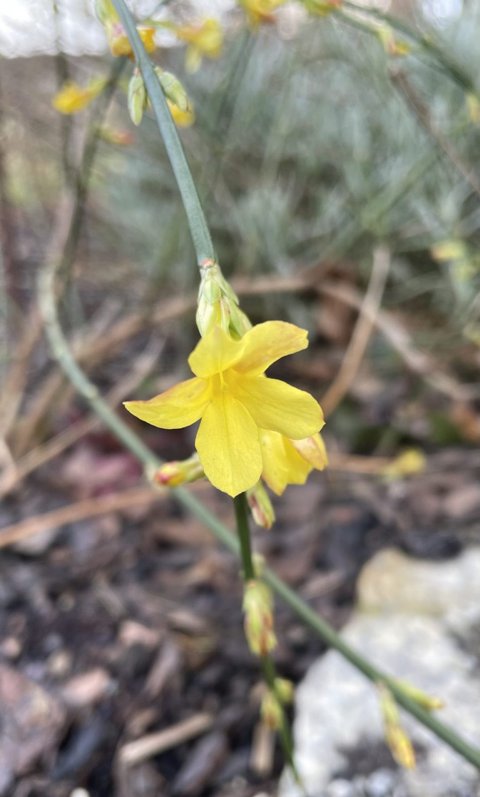 85F24267-5548-477F-9E47-9F5E1307CC83