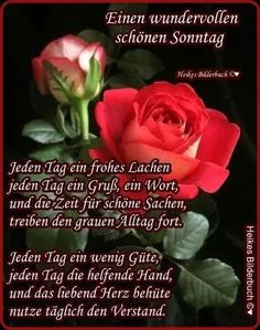 85f626316558c6fdf8a0b17e5231dd9b