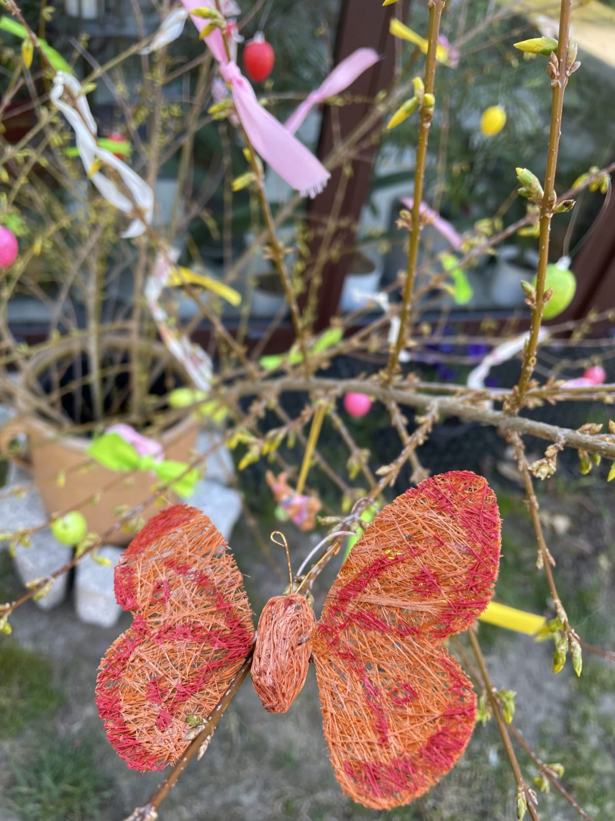 8667A2C0-33B9-4A85-A0BE-1F8FBEB50806