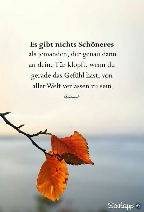 86d0d1dac5e65d1b2a5f79bf2e8d8d8d