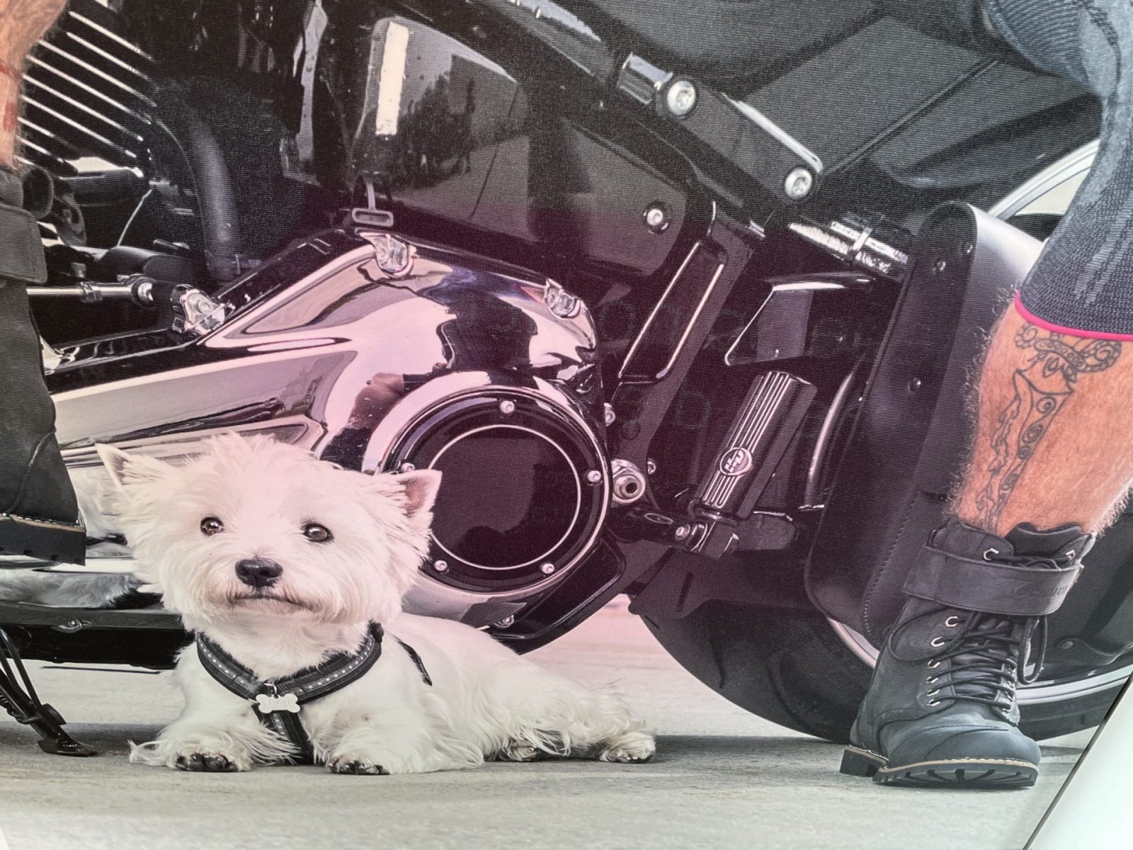 87452046-0041-4A3E-BEF0-EF5C833BAC9F