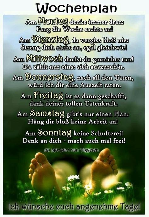 878885e10656b8d9c75ef3aac66c152c