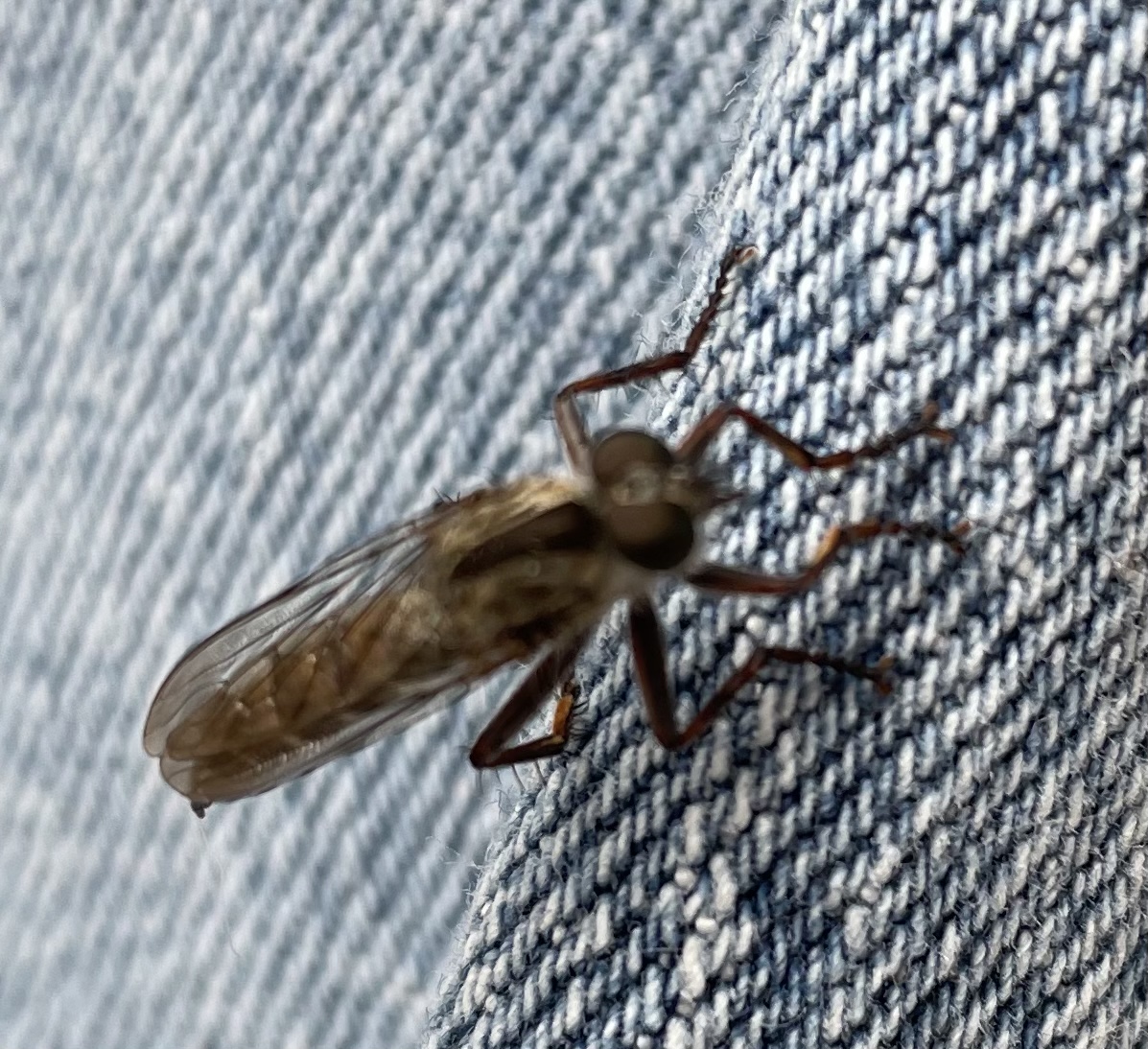 878CB6B6-BCD3-4190-BBE8-335DF6600042