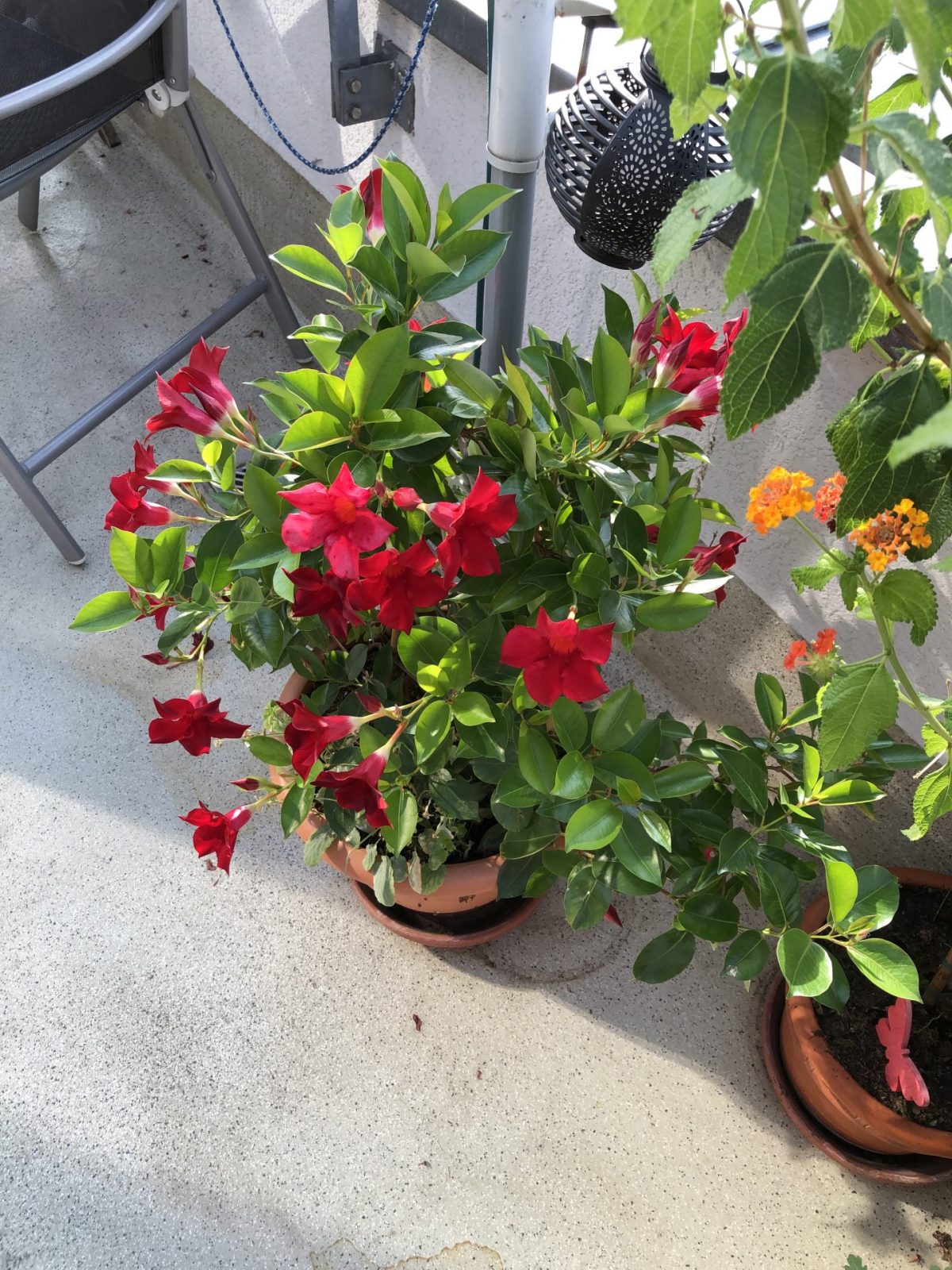 879548FF-2BC7-4DEF-8A23-9E37B342E3A3