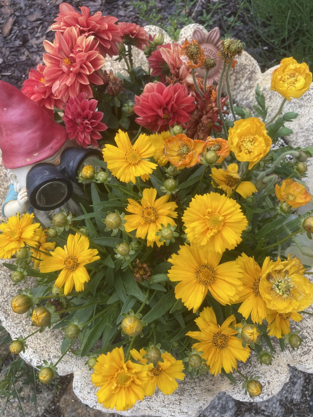 879817FE-0B03-47F3-8A34-ABE96CF82BE3