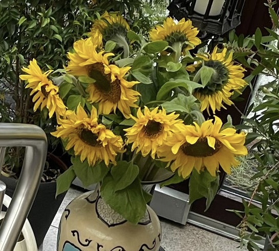 87A44E9F-3A66-461F-8D20-03374C83BE8B