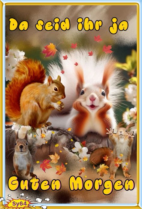 87f78a78e215589658d4eb2efeb38d01