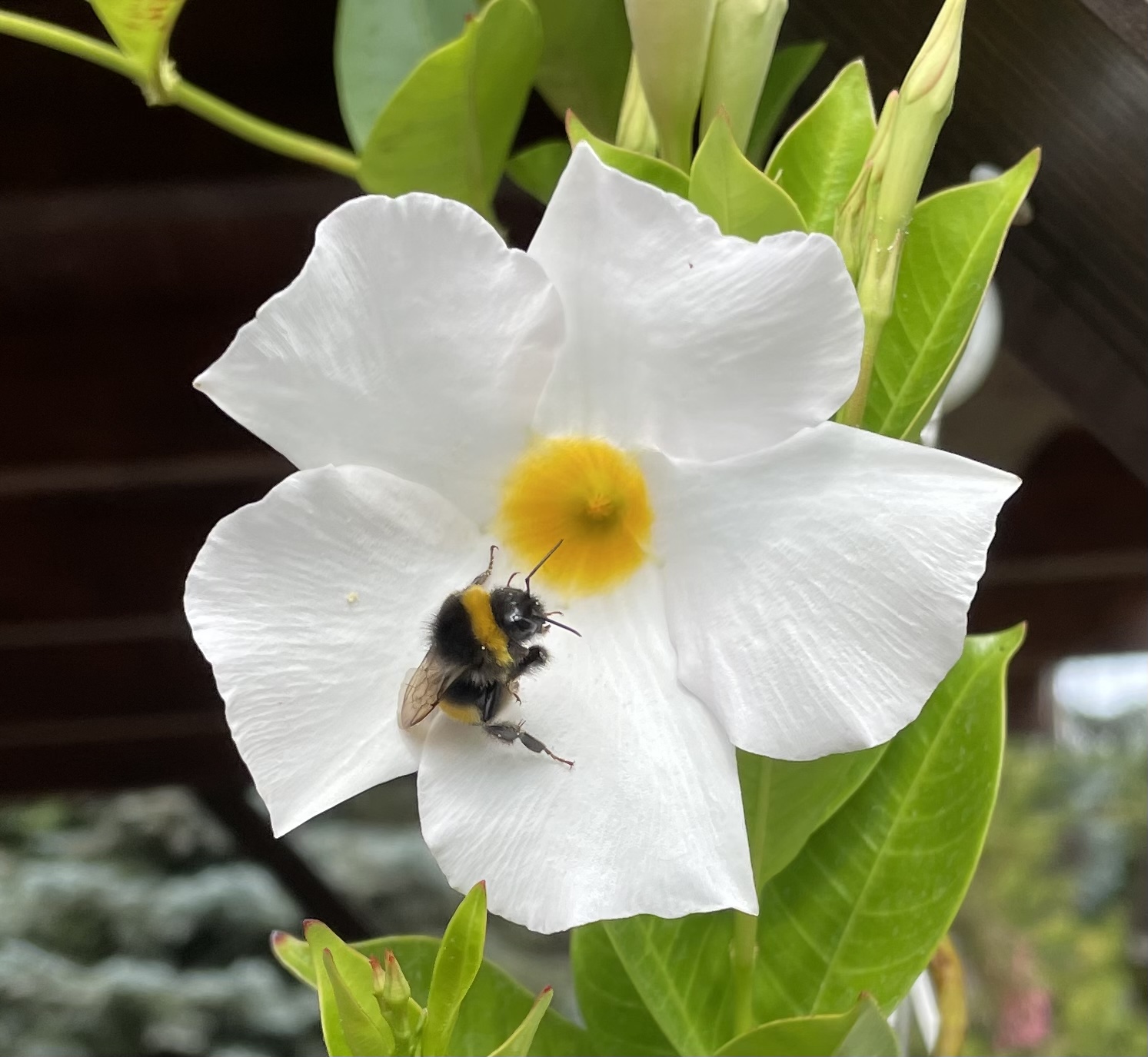 88055281-D732-4F96-88BD-D076224FC393