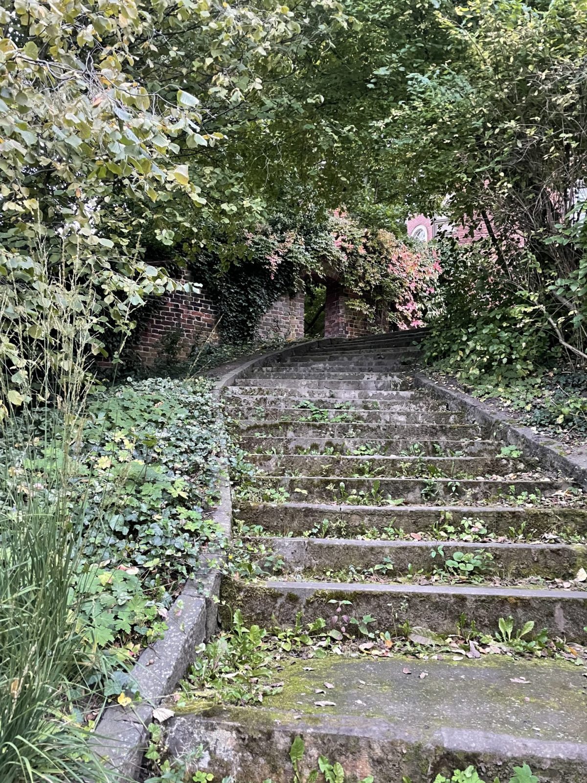 8856BFC8-6156-4E81-9DB5-99D46D3D57E0