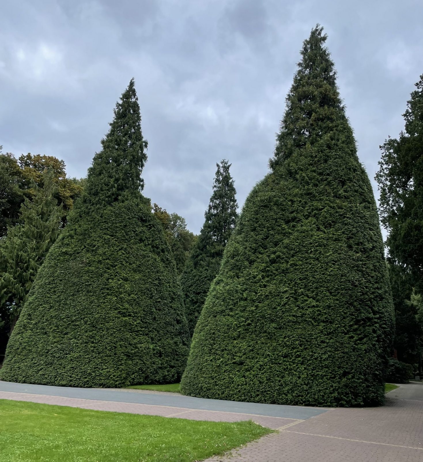 885FD85A-ED42-4065-BD94-9CF56ADDC809