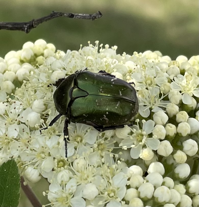 88A6D2C7-B647-4CD9-B4A4-EAFBE9A7FC29