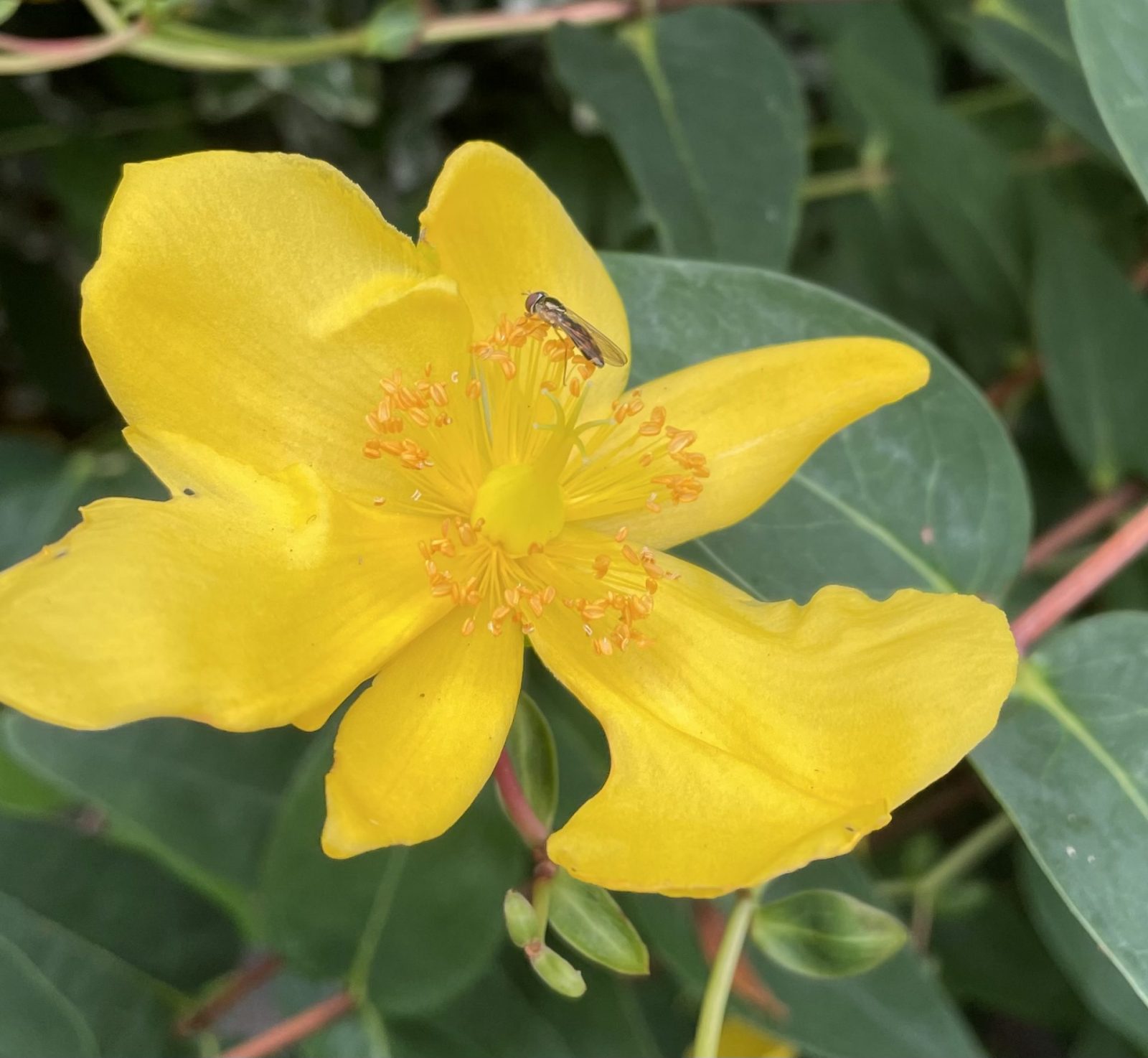 88CB6903-5482-4D50-9973-230F673D468C