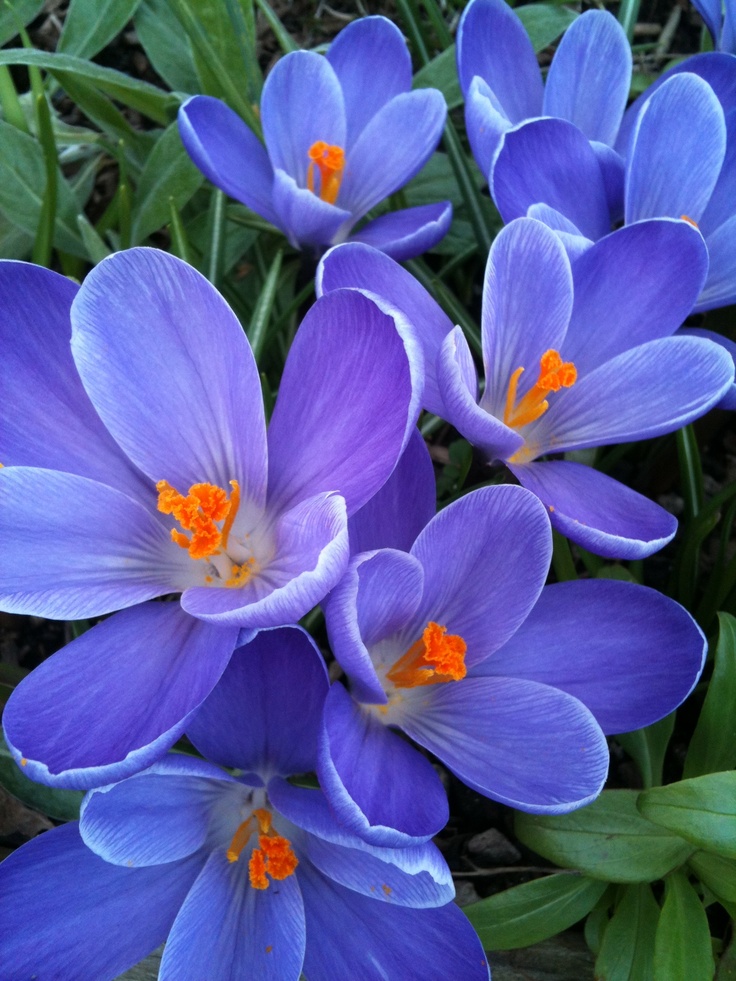 88e62edb786e314494b39ff34d50dbe0