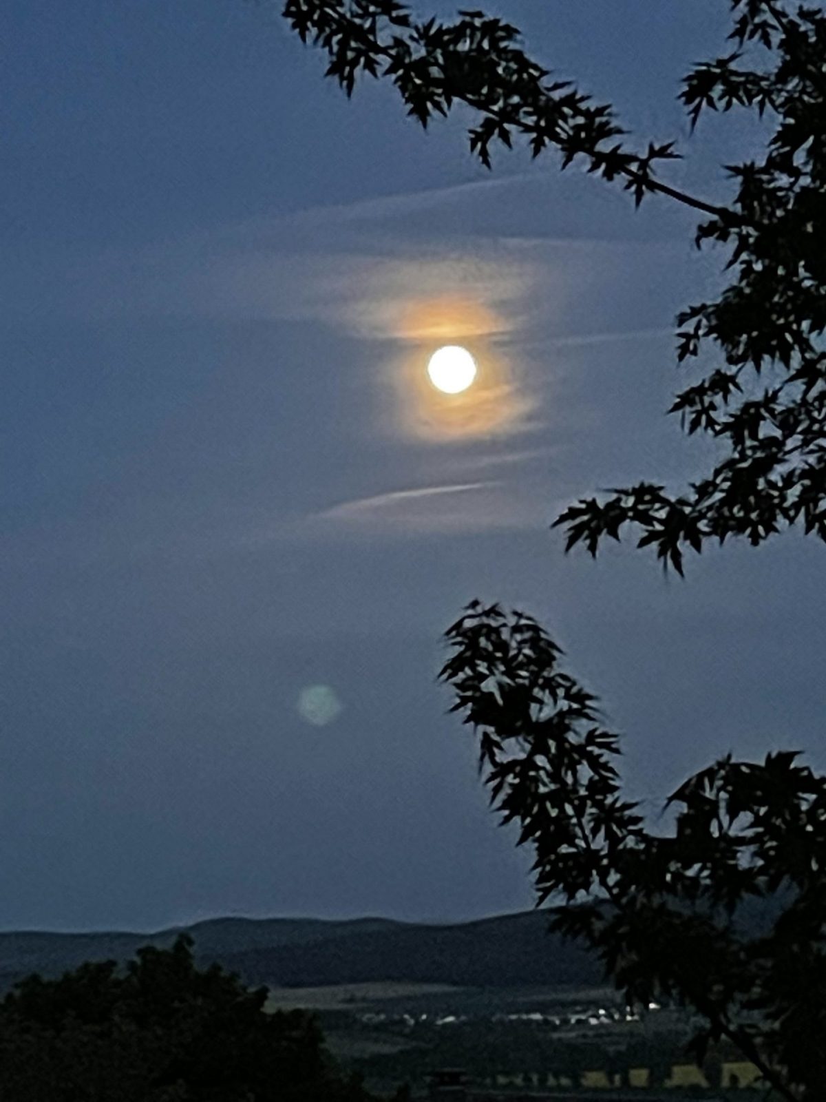 8907313C-7A5C-44F3-9842-2E4B1B34F72E