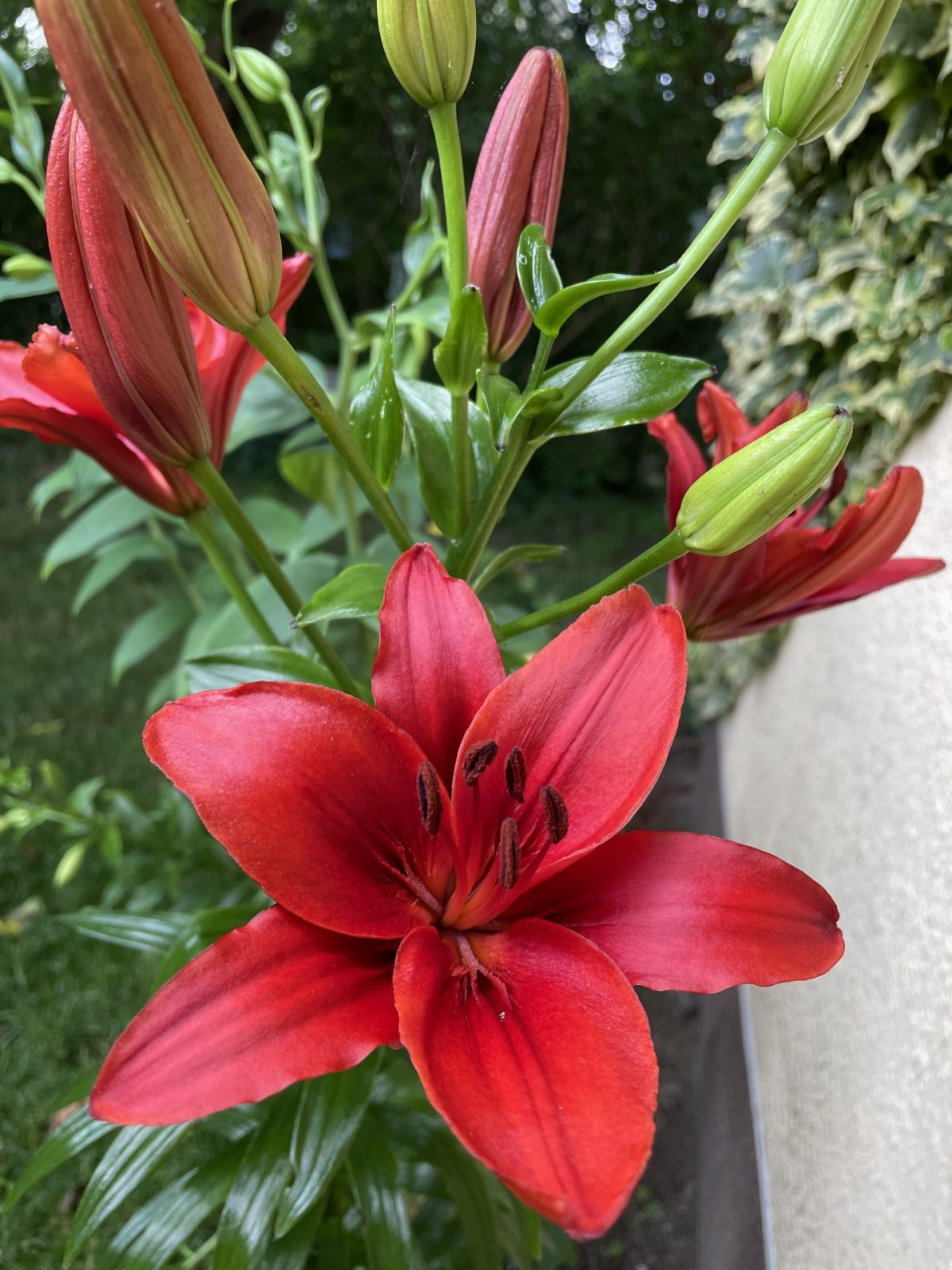 897443A4-08F6-4C52-8B04-C19F53B818D8