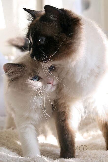 89775566_2571484916422643_6329165056944635904_n