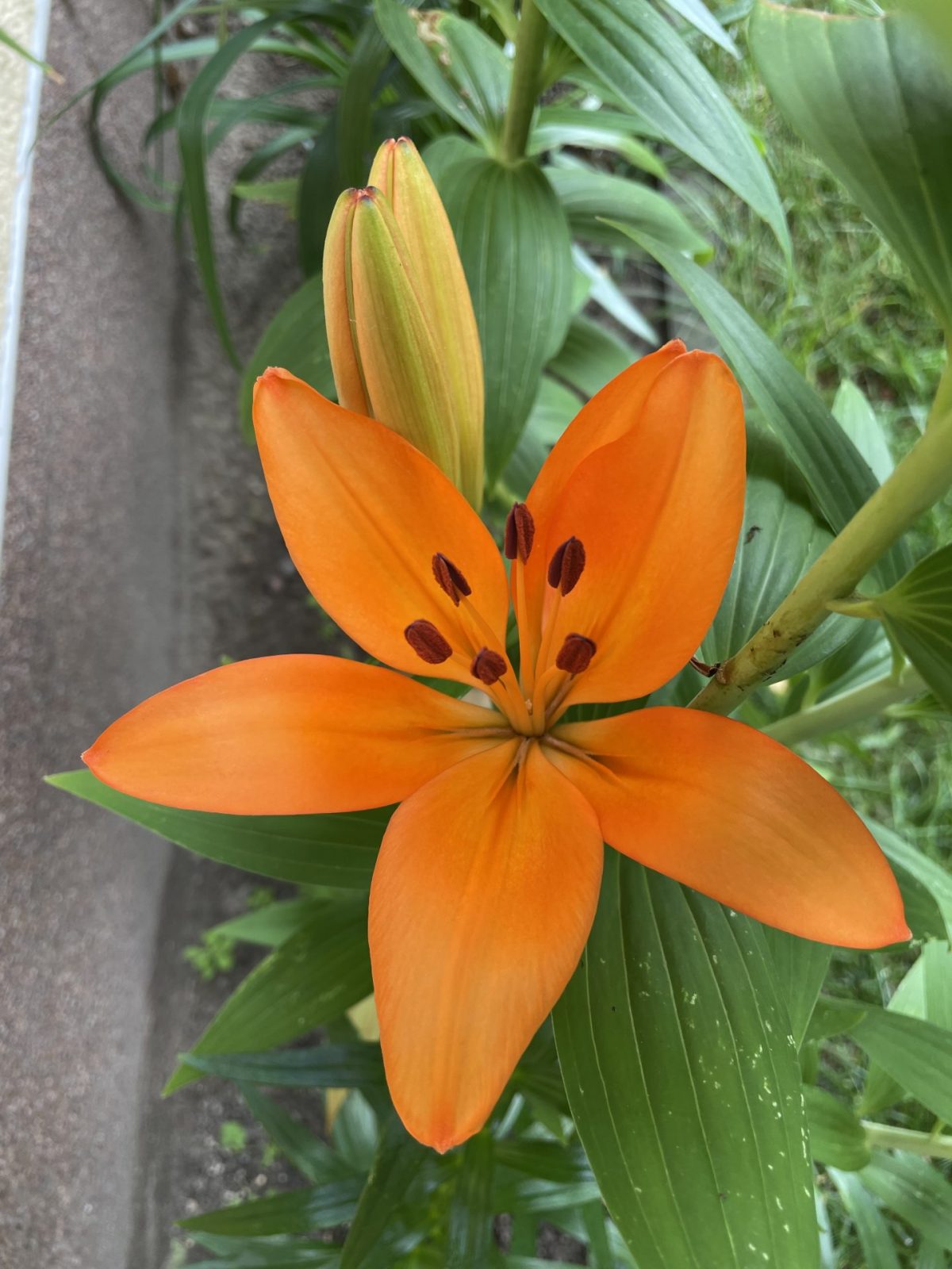 8986A995-9E92-434D-8D1A-B2AB03E5A6A4