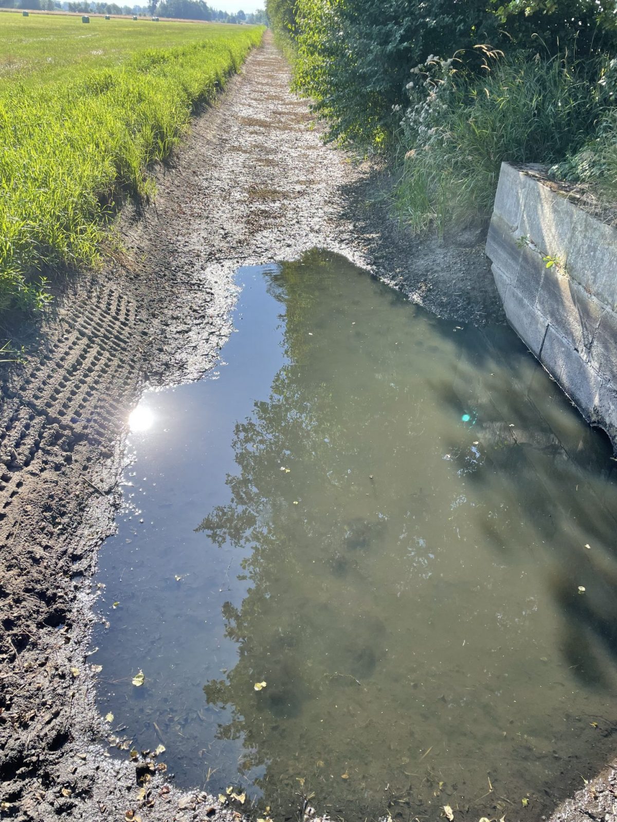 89C3B456-93CD-4057-A961-7021AF07D6B0