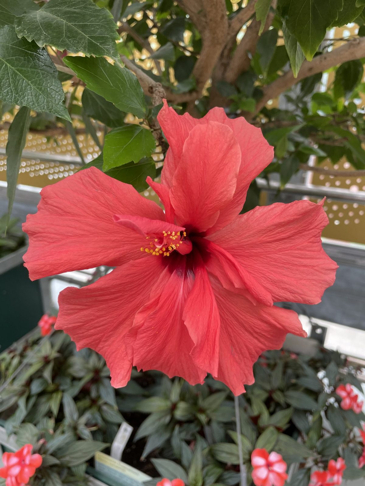 8A315CD1-96A9-466A-985B-9B35BD69E74B