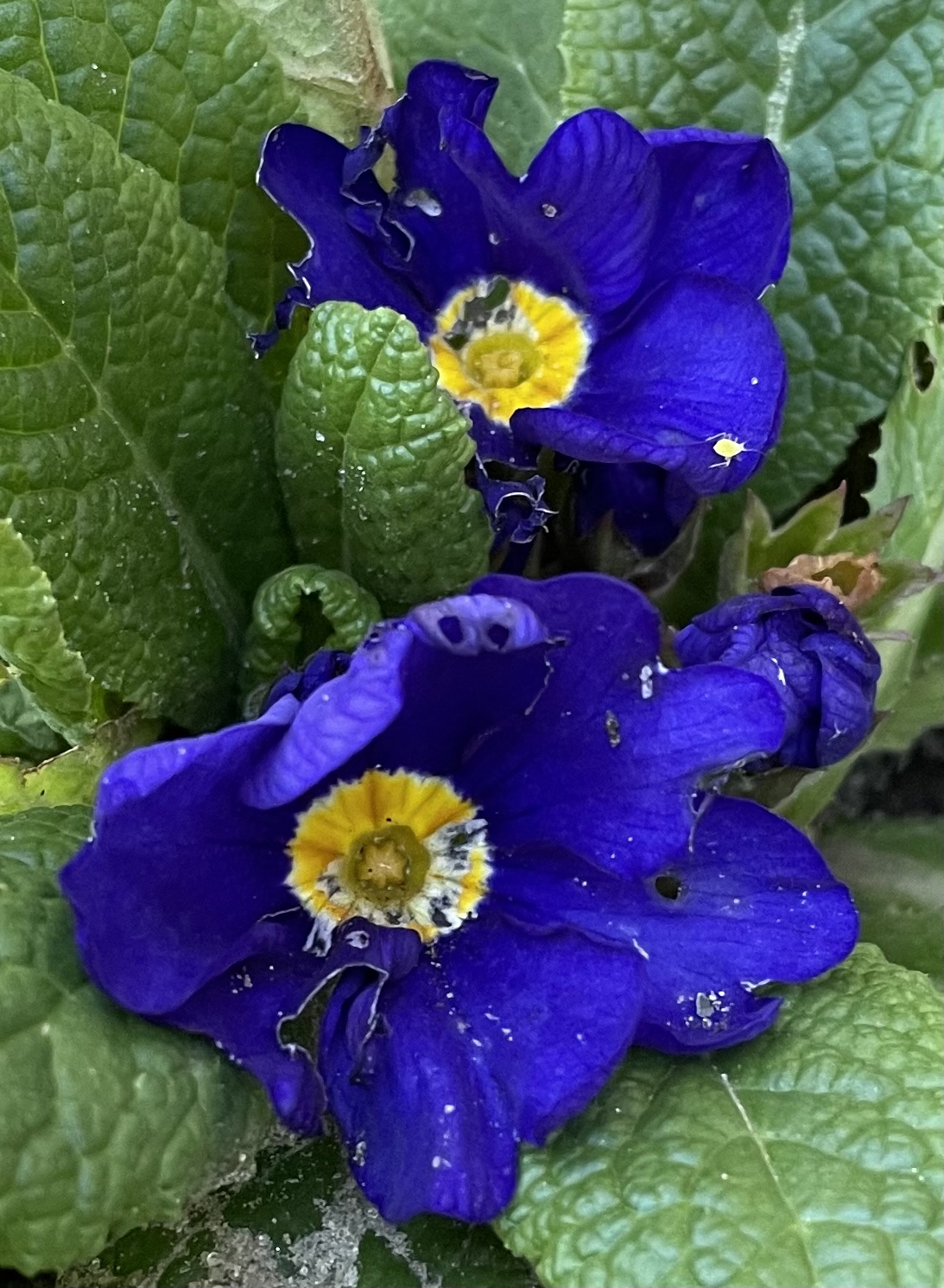 8A409FFE-54F5-4602-BEAA-B146B6A5E4D4