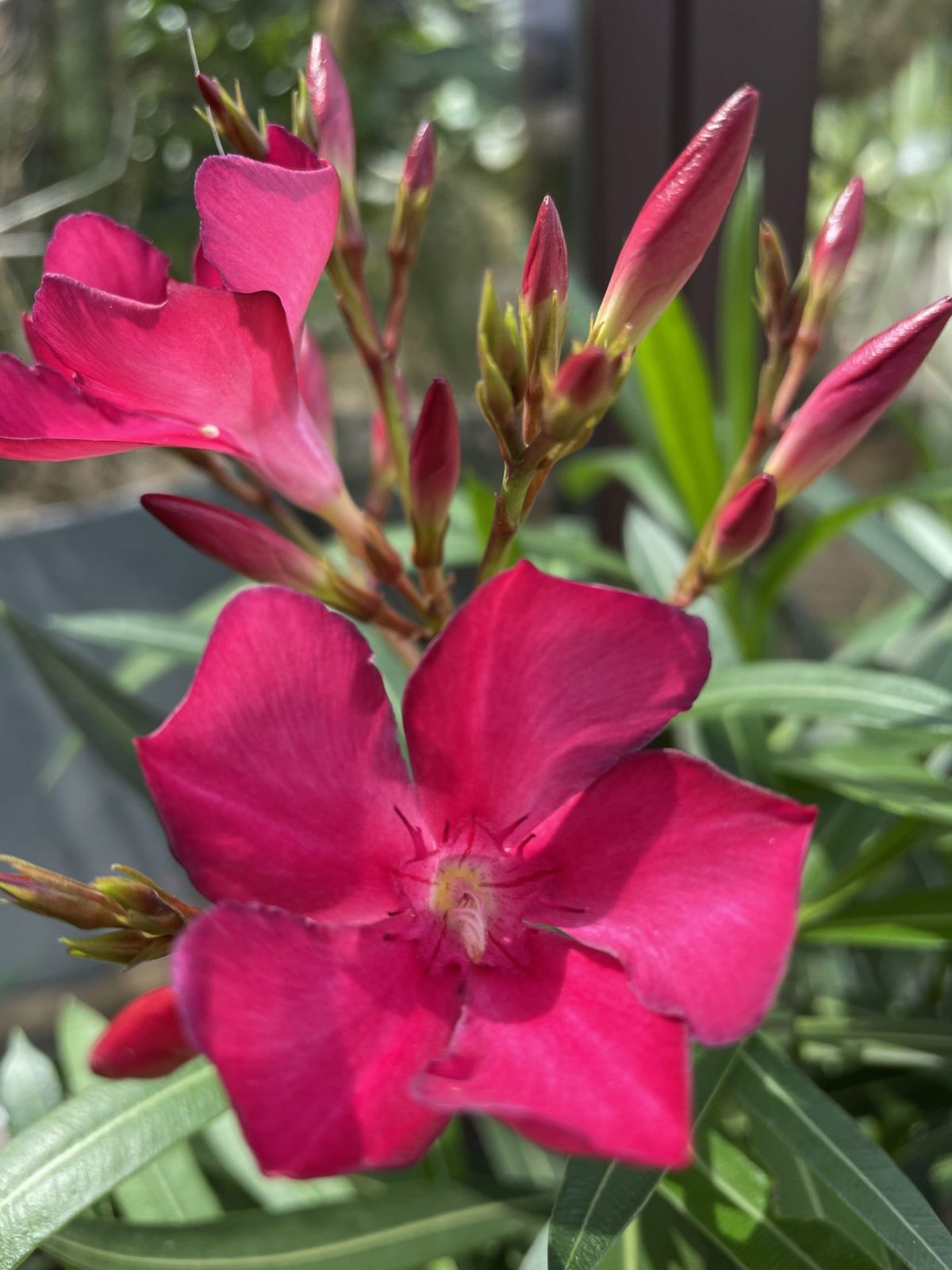 8A886D44-A825-4B75-86D1-0187EF23C4F4