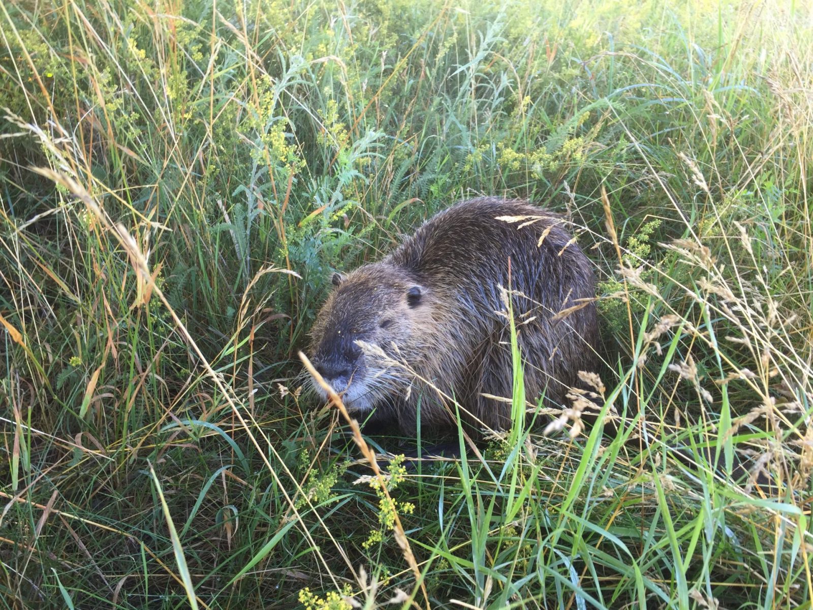 8B158466-7412-4497-BCB4-A436F451E631