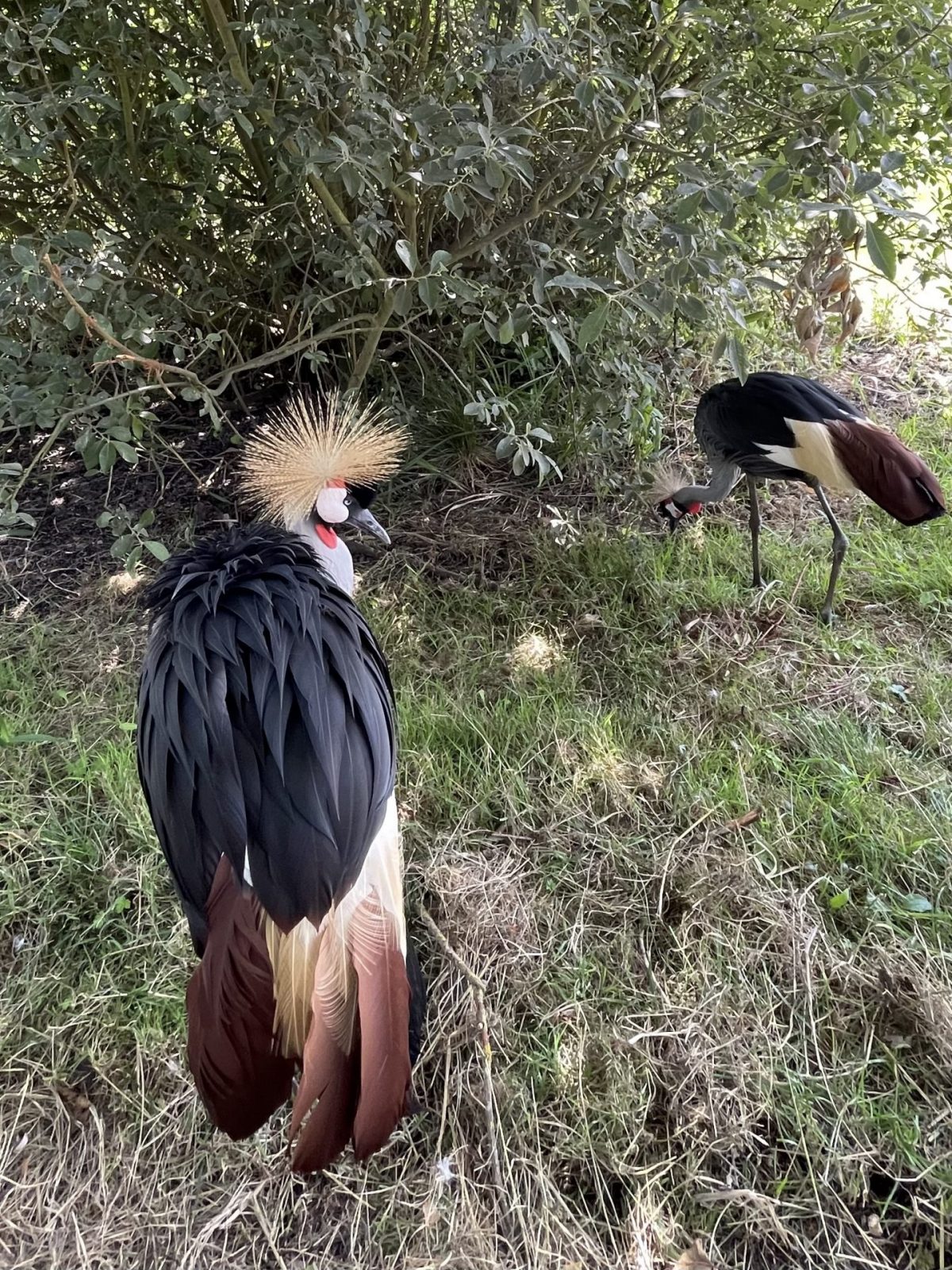 8B4DAF2A-C3BD-4A02-80B2-B3725FE6812C