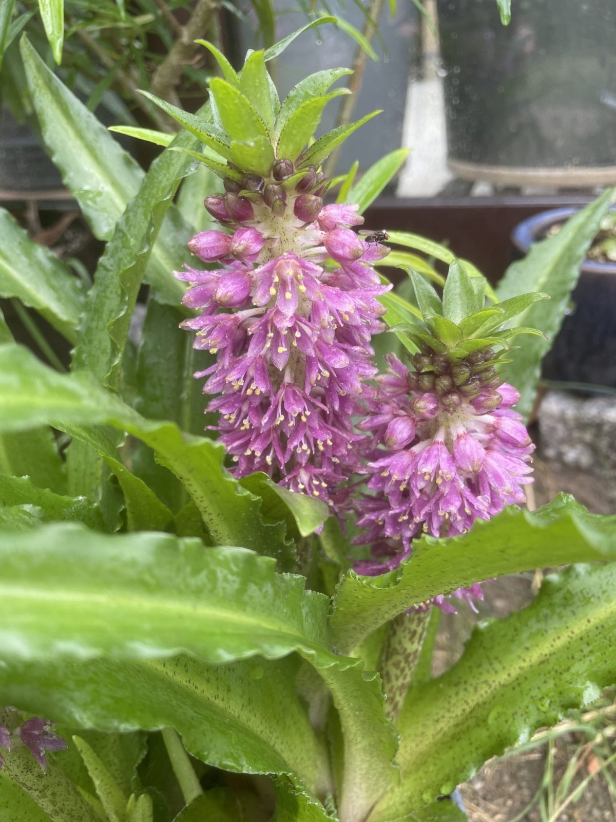 8B9CB28B-1D8E-4705-99BD-54F8C01ADEC9