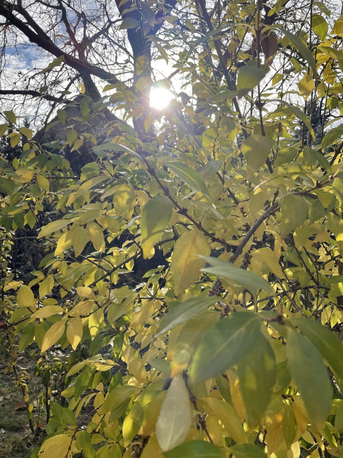 8BC82B30-BB76-4DC0-BBCE-ED991D6EDE25