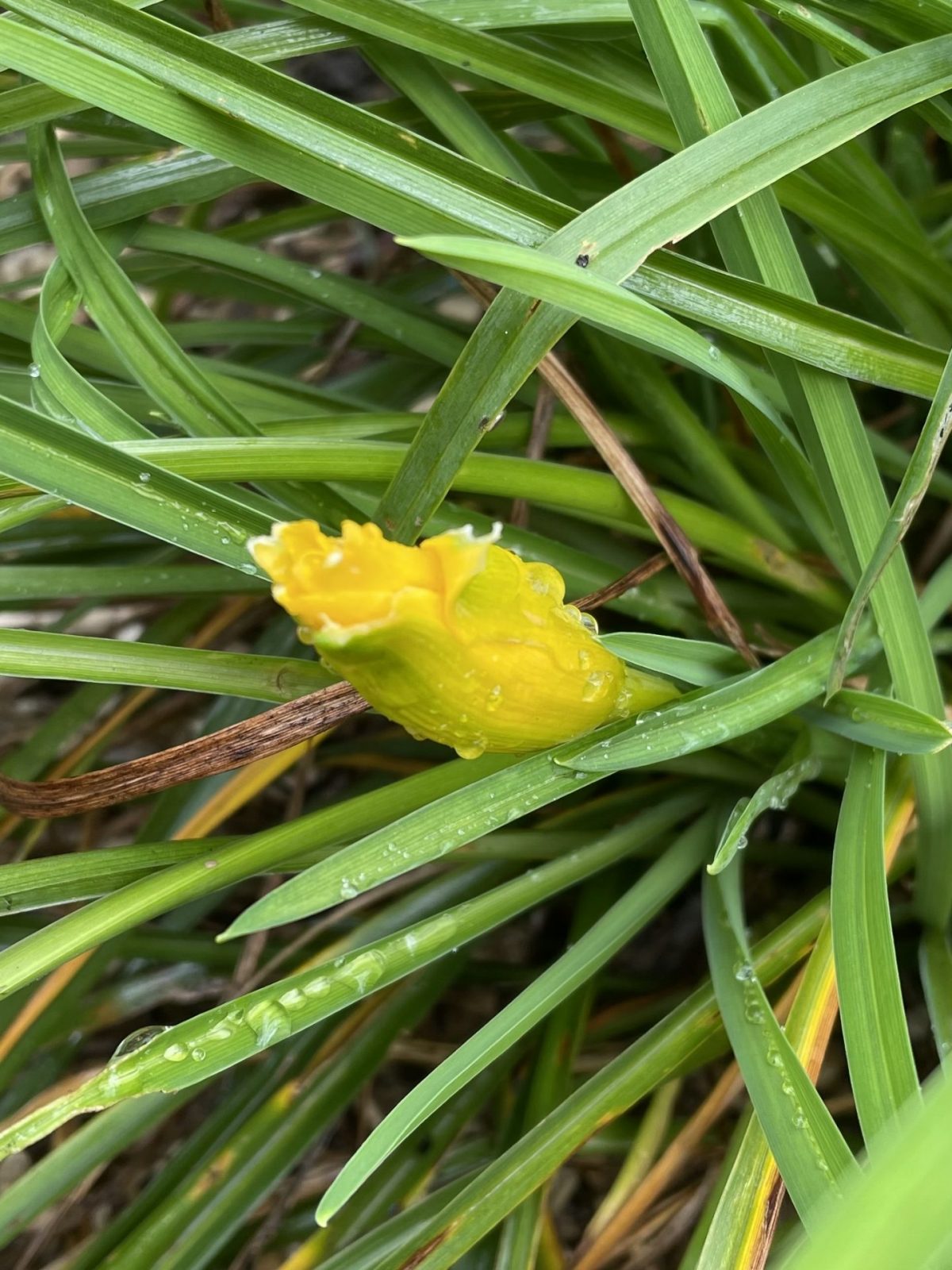 8BE22555-3B46-4FA5-B539-E027276C5D9A