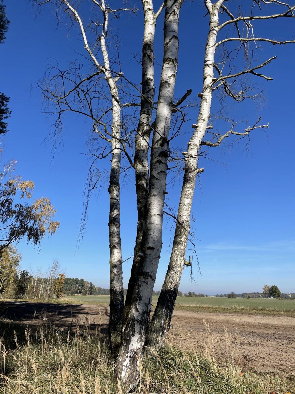 8C0CB89D-FD01-4F05-85E7-BA7AD3FA7D2E