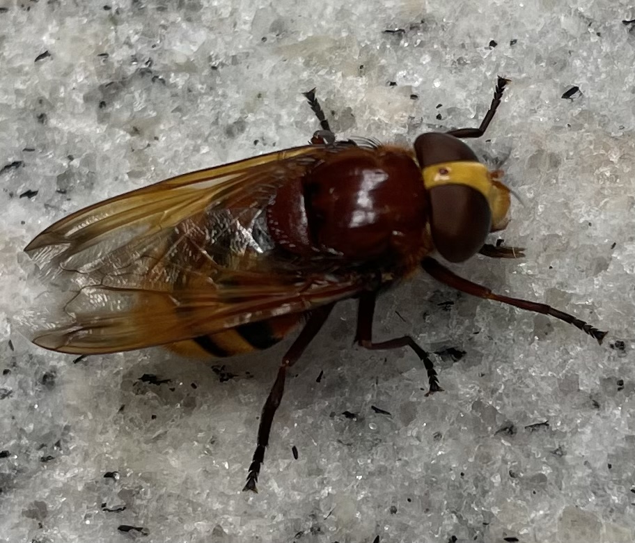 8C12D610-C651-426D-AA19-D41CBF30D36C