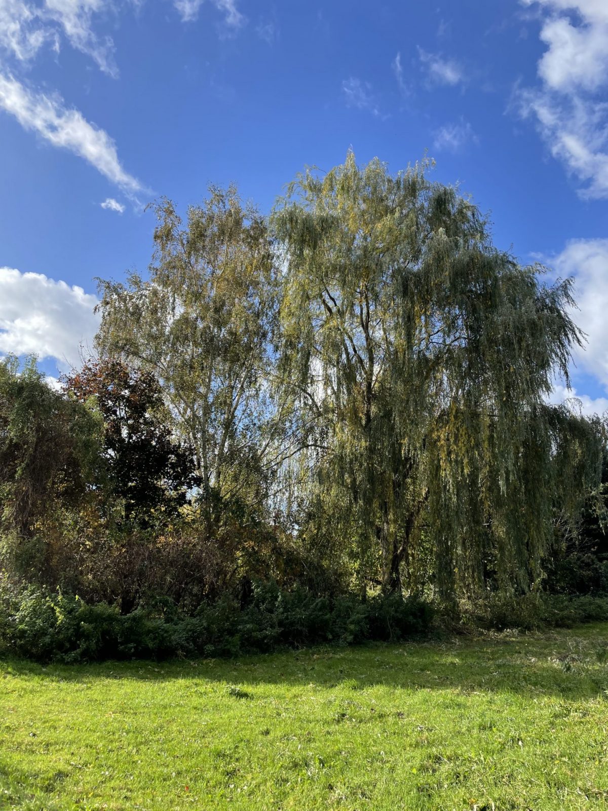 8C689E2B-3E06-4D67-B682-652A8247ED6D