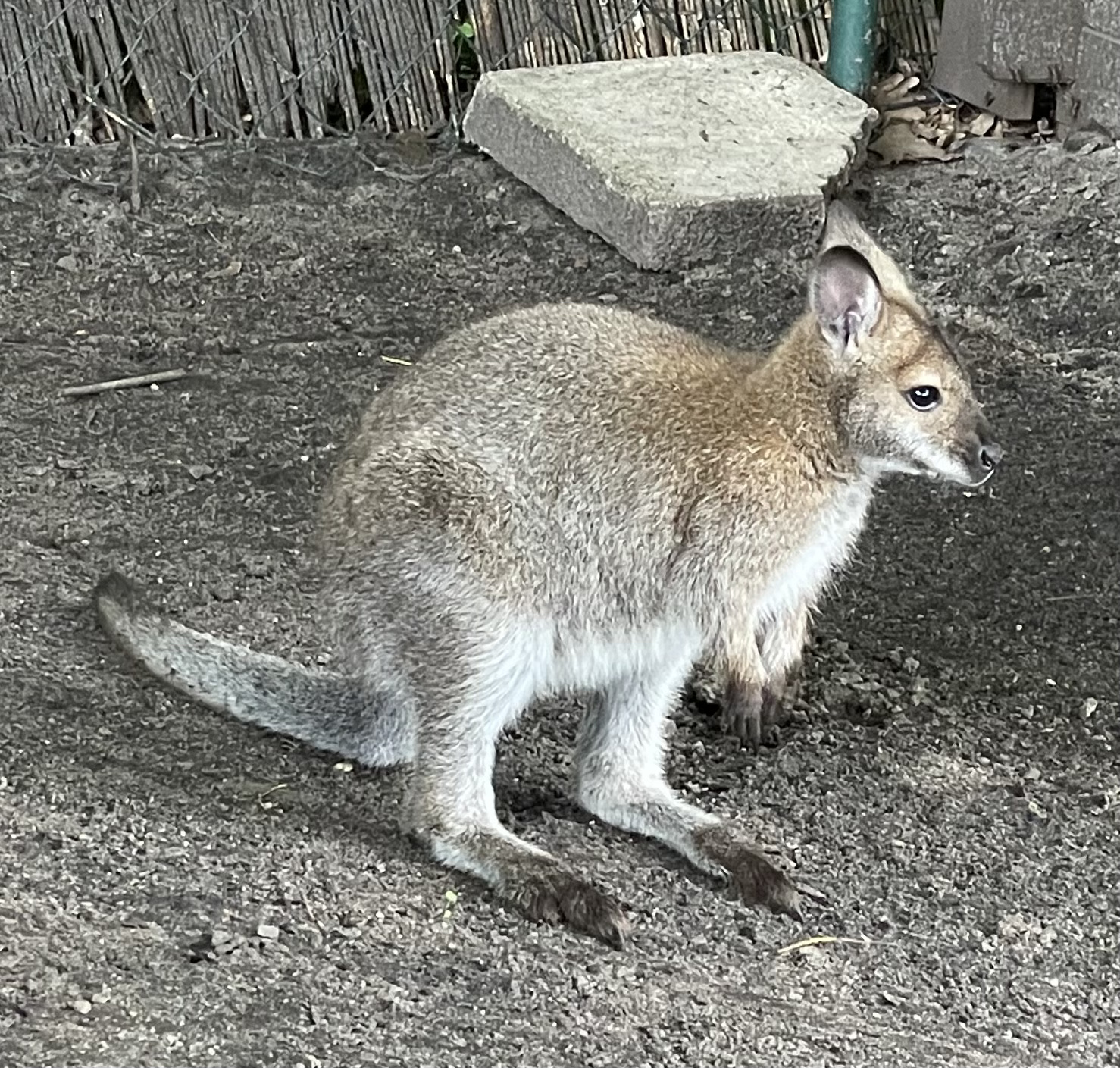 8CAF274D-102A-47AA-B092-41E7492DA6F0