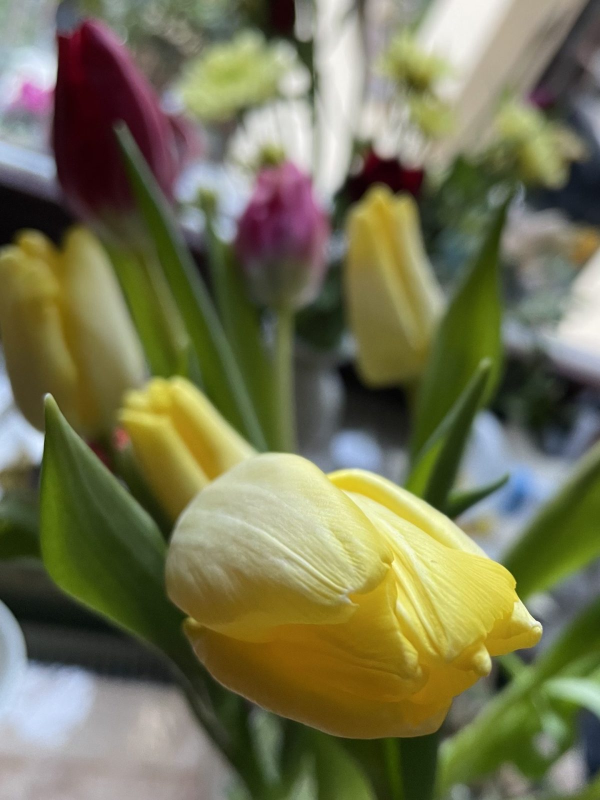 8CEB5B3A-670E-4325-8B8B-F46ABD75F7FD