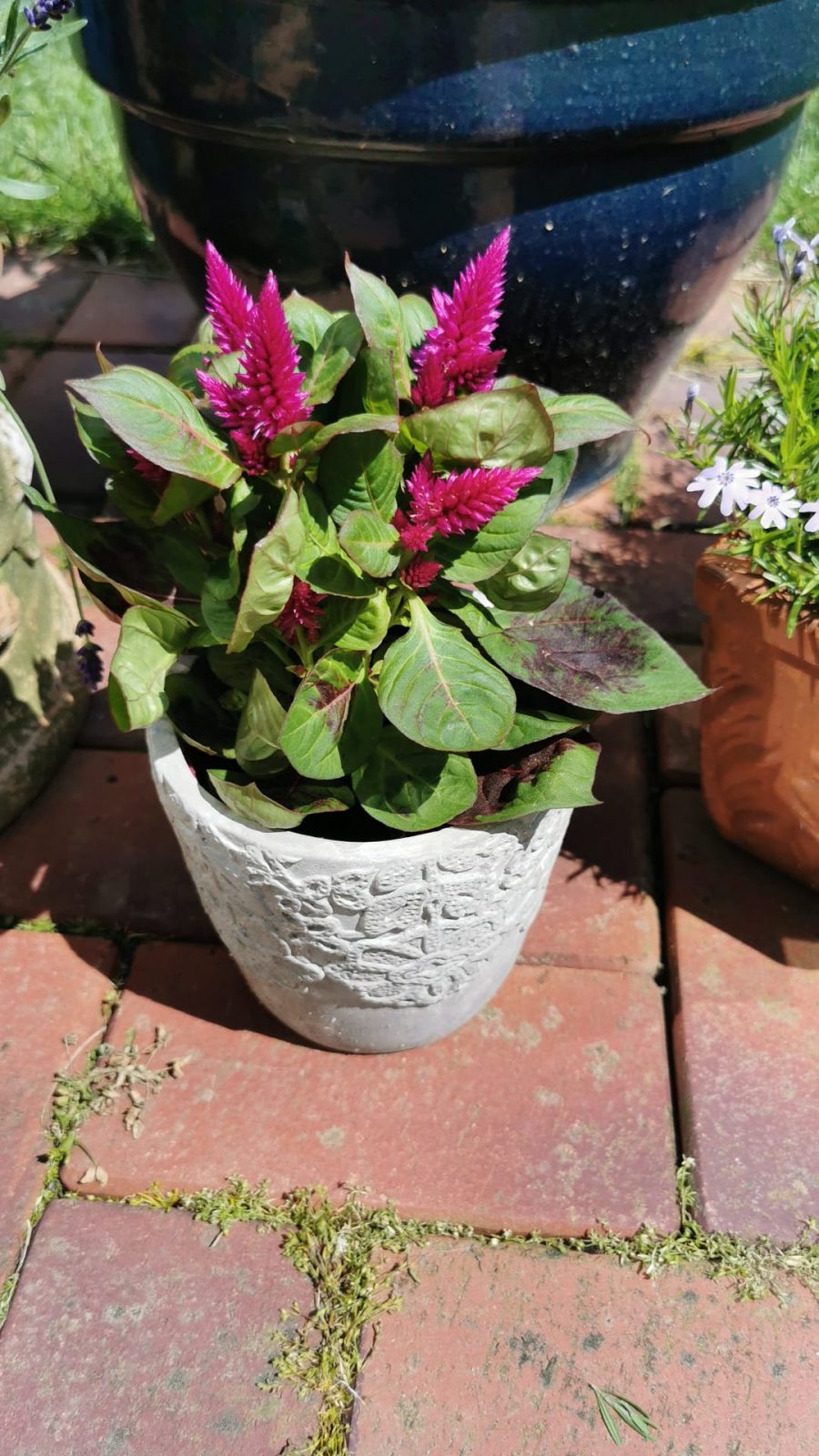 8D58D866-3FB8-41CE-AE80-033B5086A607