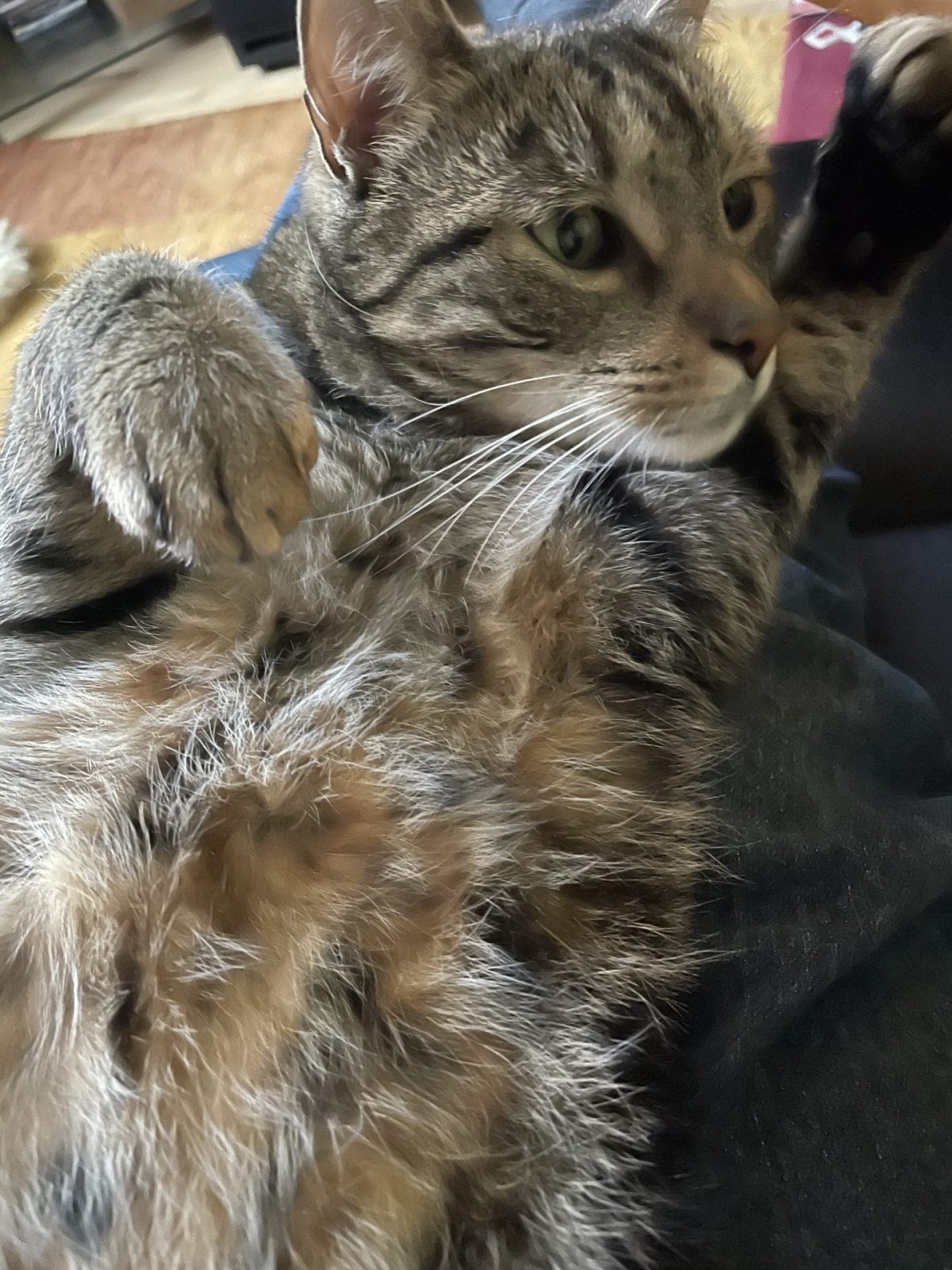 8E23118B-8E31-4F7F-8103-5F2AA3F1715E