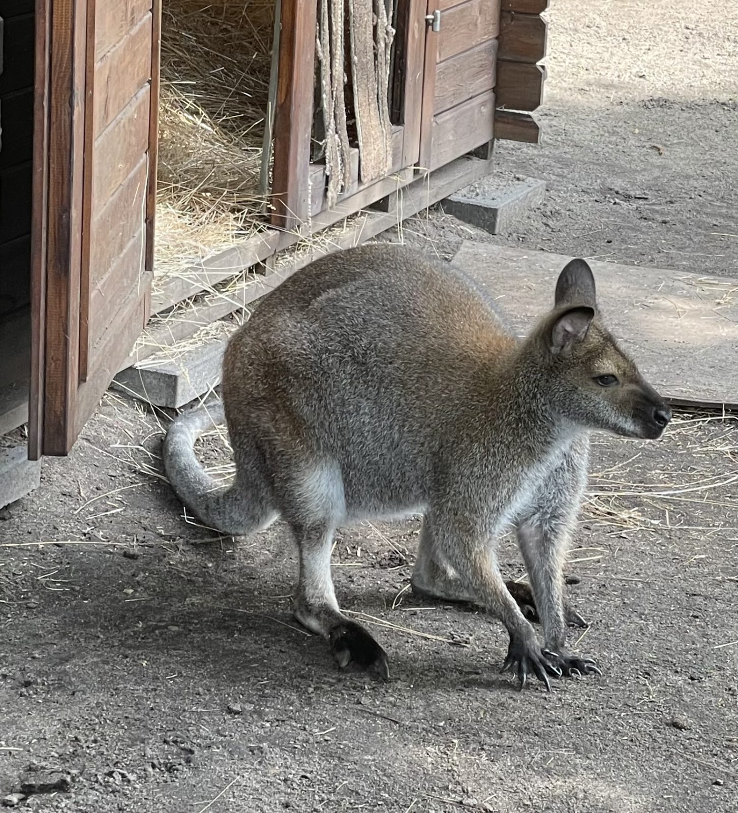 8EECACAD-0A65-4C5F-AA12-091A727B845D