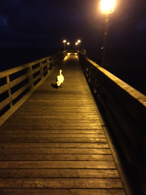 8F188198-9313-4C6A-B6DC-E026C00FD3EA