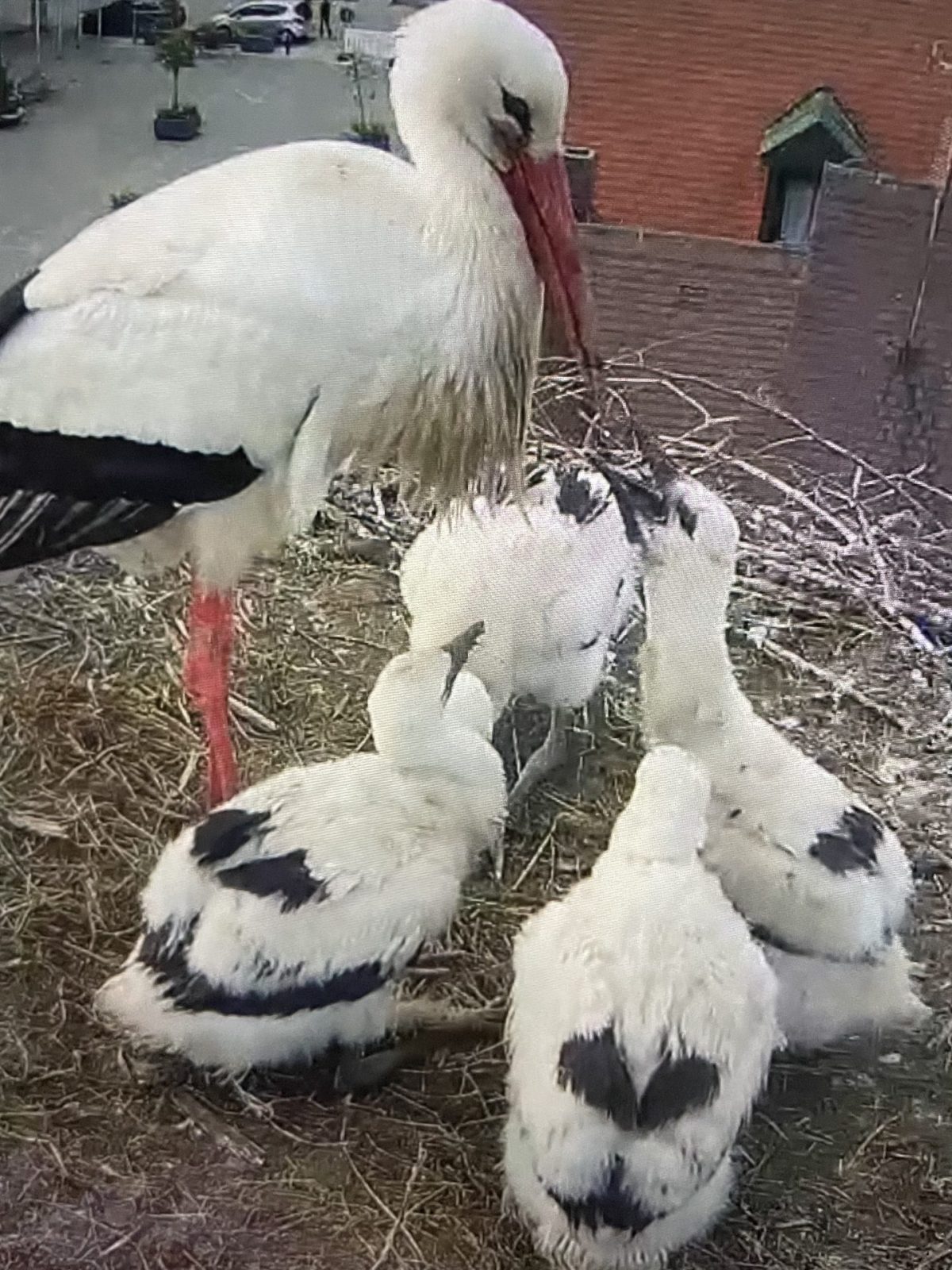 8F7BFEB2-DBE4-4A0B-81F3-3F418EAAEEB7