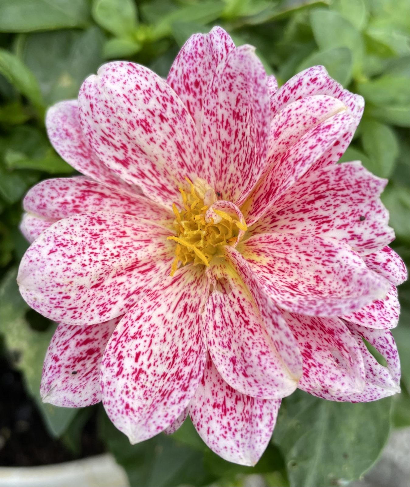 8F891A4B-6057-4664-B2EE-B8735B278DCB