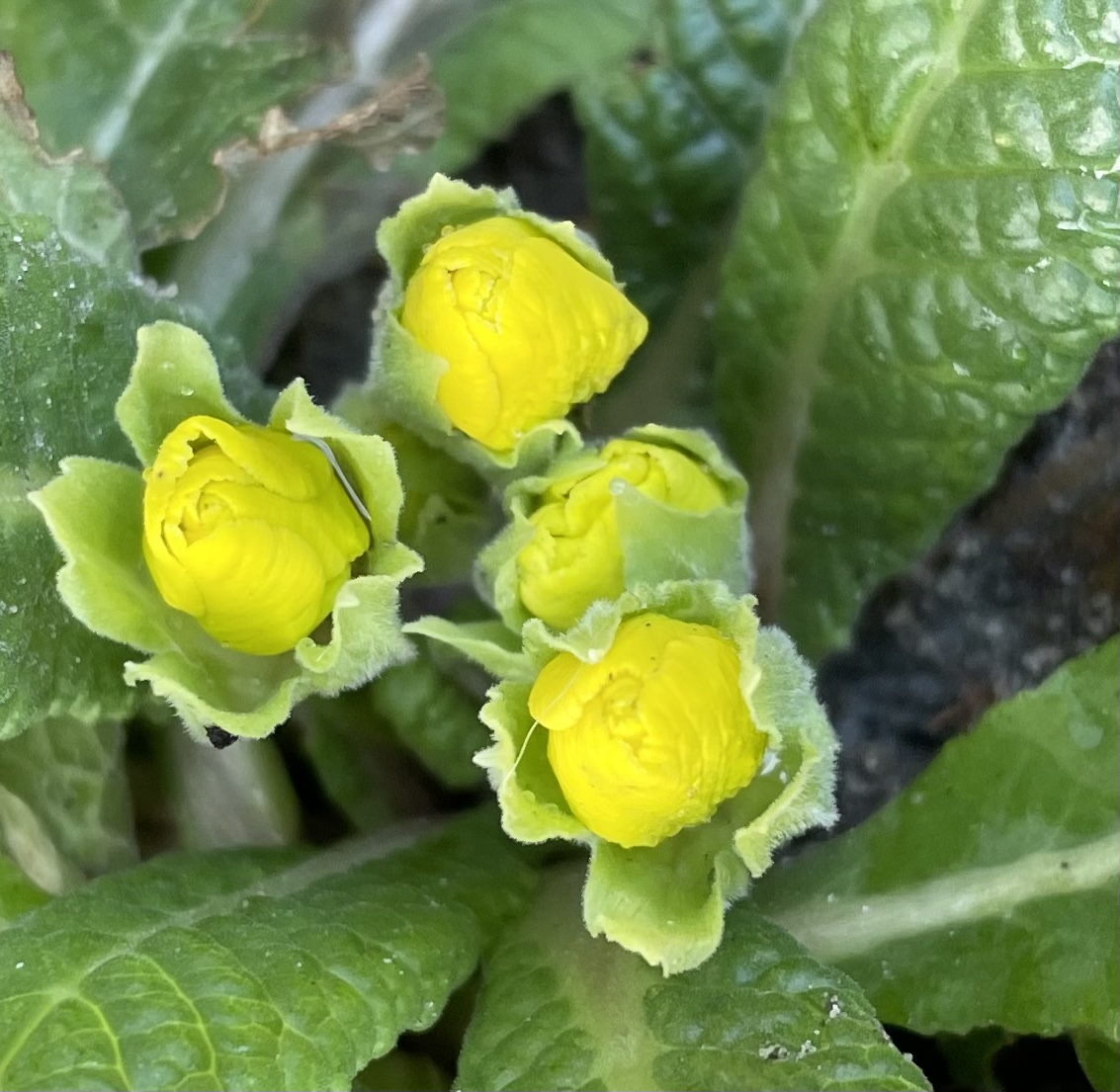 8F9A3711-36A6-4AEF-B992-F53196ECD318