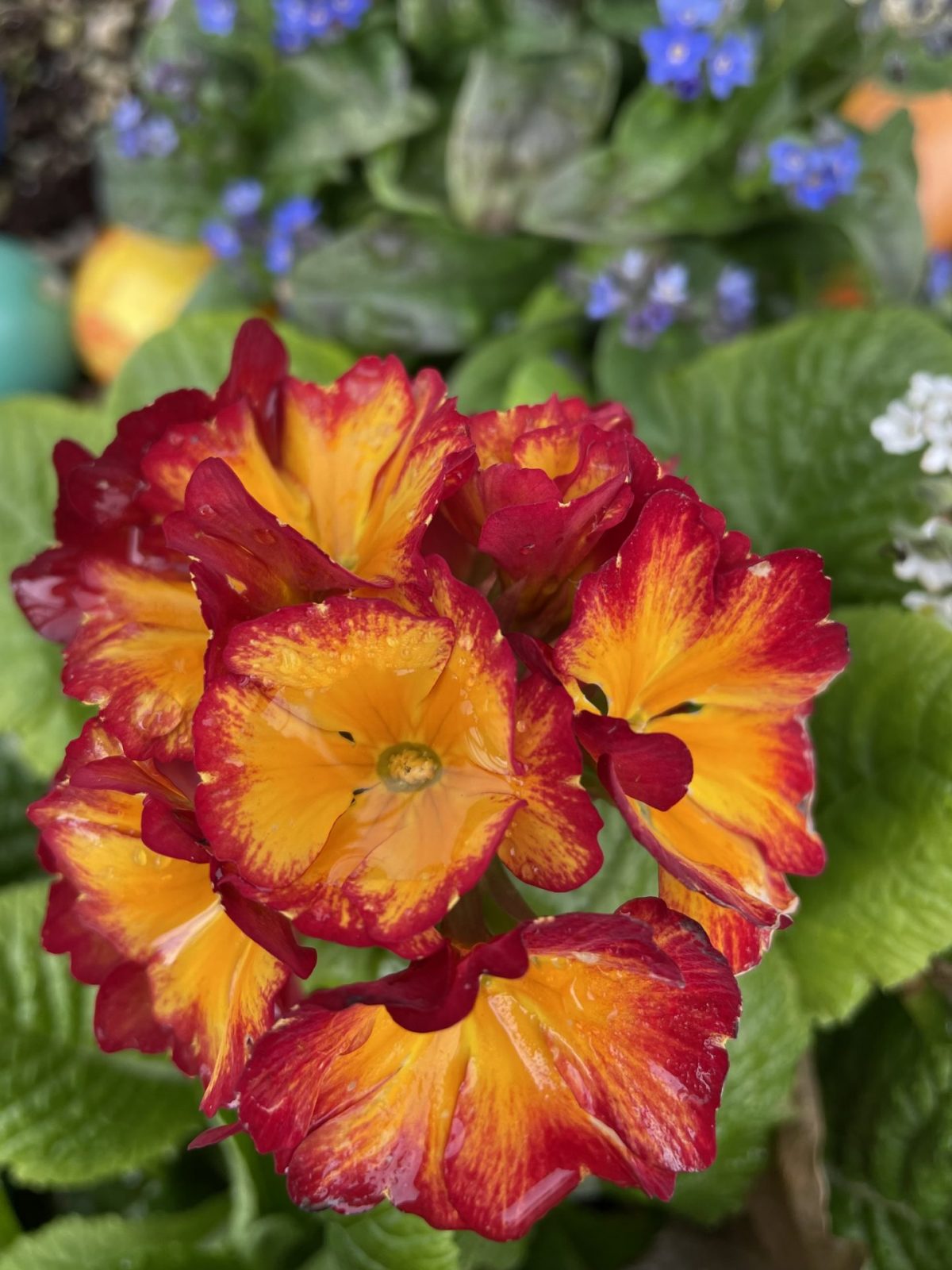 8FADF24F-3359-483A-8314-05BFA178C24B