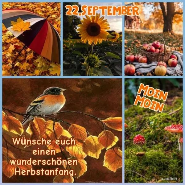 8ae50d40-c33a-4d88-bc48-fedc60ad3b8a