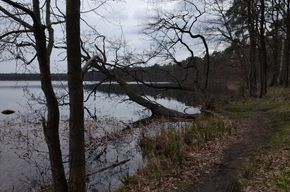 8c5ecca9-a8f2-4e28-89df-05f805cd3663