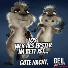 8e317897aa7bb4d8294ed0124aee7a54