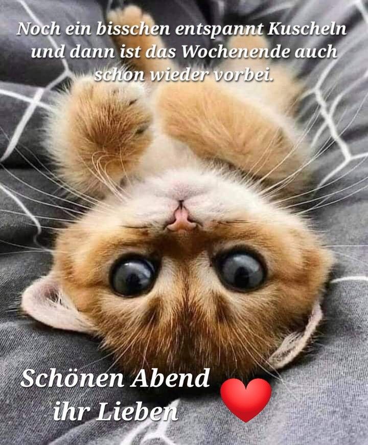 8ee78b59901a001bad1327b4fc7a2f4a